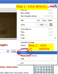 Step 1 & 2: click the wrench and then Options